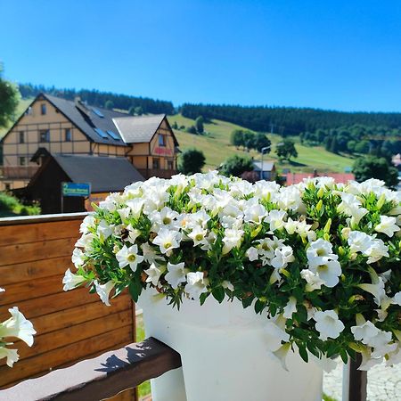 Ski&Spa Zieleniec Duszniki Zdrój Exterior foto