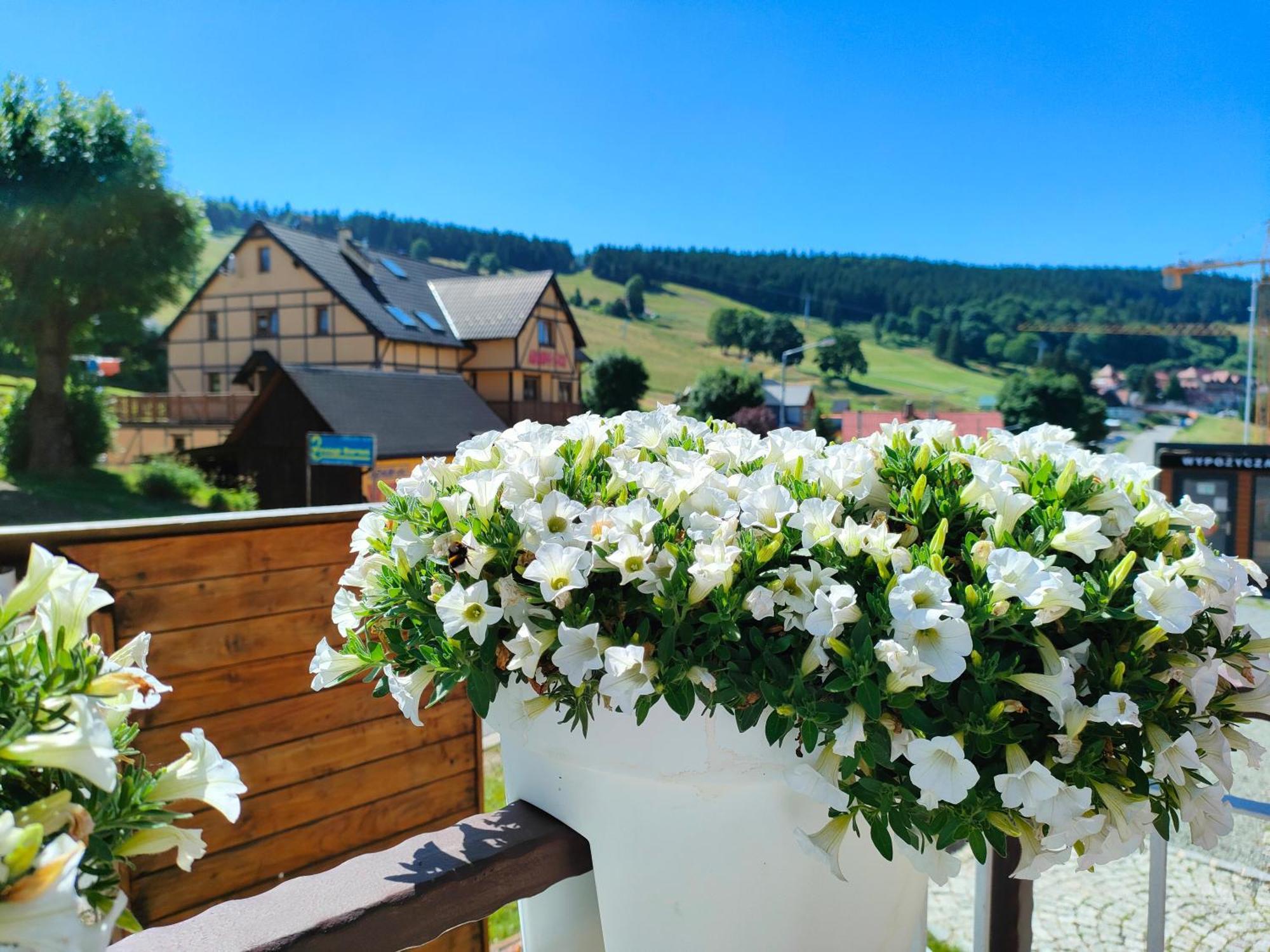 Ski&Spa Zieleniec Duszniki Zdrój Exterior foto